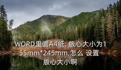 WORD里面A4紙, 版心大小為155mm*245mm,怎么 設(shè)置 版心大小啊