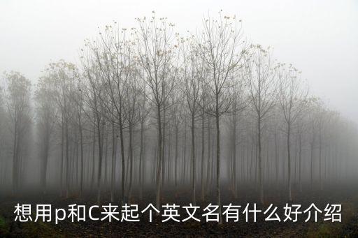 想用p和C來起個英文名有什么好介紹