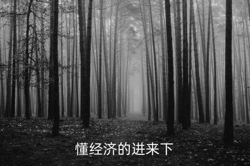 懂經(jīng)濟的進來下