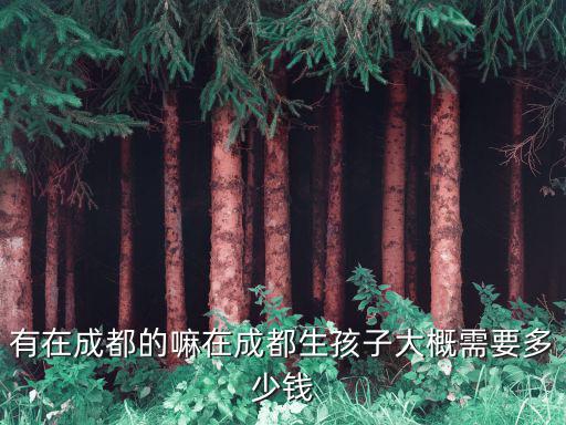 有在成都的嘛在成都生孩子大概需要多少錢