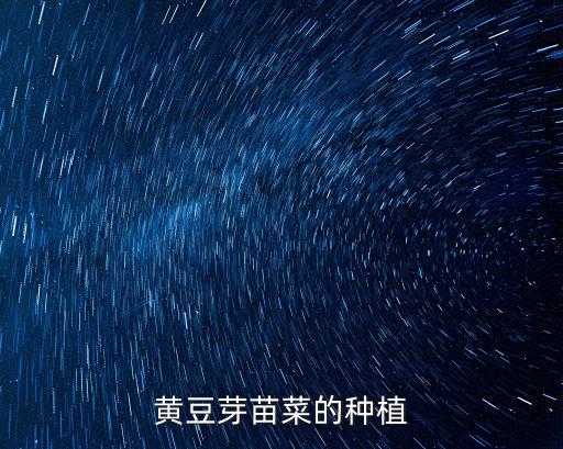 黃豆芽苗菜的種植