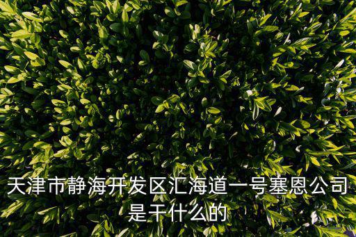 天津市靜海開發(fā)區(qū)匯海道一號(hào)塞恩公司是干什么的