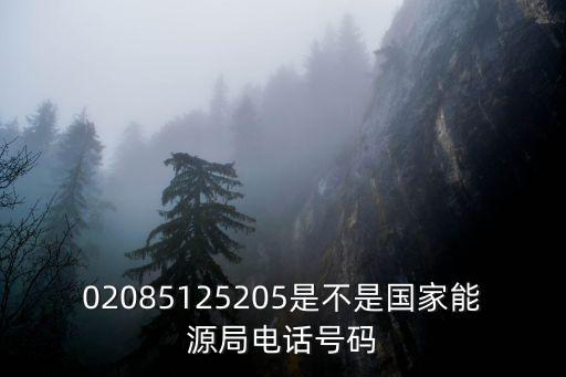 成都市有能源管理局嗎，02085125205是不是國(guó)家能源局電話號(hào)碼