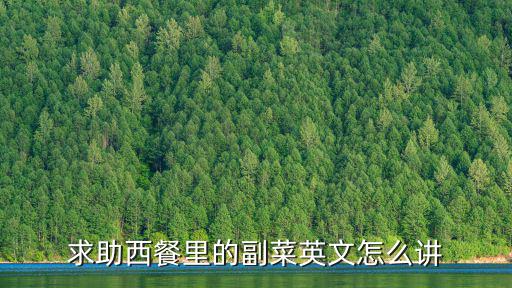 副菜，求助西餐里的副菜英文怎么講