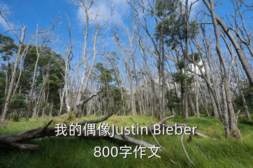 我的偶像作文800字，我的偶像作文怎么寫