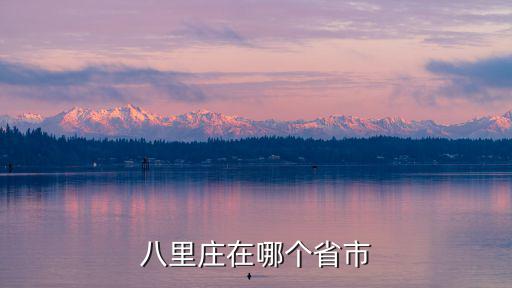 八里莊在哪個省市