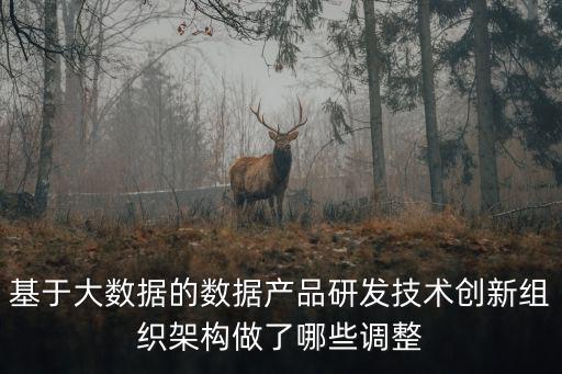 基于大數(shù)據(jù)的數(shù)據(jù)產(chǎn)品研發(fā)技術創(chuàng)新組織架構(gòu)做了哪些調(diào)整