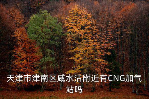 天津市津南區咸水沽附近有CNG加氣站嗎