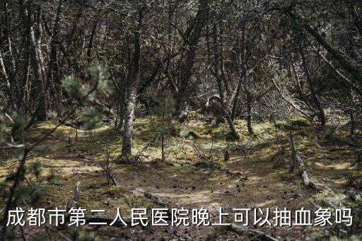 成都市二醫院晚上能查血常規嗎，成都市第二人民醫院晚上可以抽血象嗎