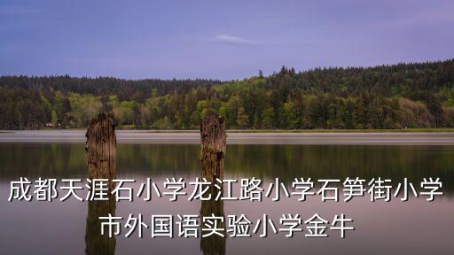 成都天涯石小學(xué)龍江路小學(xué)石筍街小學(xué)市外國(guó)語(yǔ)實(shí)驗(yàn)小學(xué)金牛
