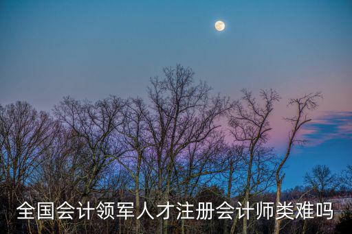 全國會(huì)計(jì)領(lǐng)軍人才注冊會(huì)計(jì)師類難嗎