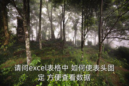 請問excel表格中 如何使表頭固定 方便查看數據