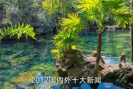 2012國內(nèi)外十大新聞