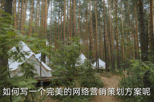 網(wǎng)絡(luò)營銷策劃方案，如何寫一個完美的網(wǎng)絡(luò)營銷策劃方案呢
