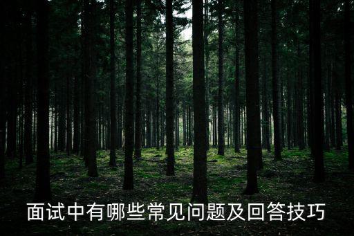 面試問題大全，面試時(shí)常見問題