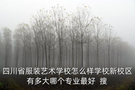 四川省服裝藝術(shù)學(xué)校怎么樣學(xué)校新校區(qū)有多大哪個(gè)專業(yè)最好  搜