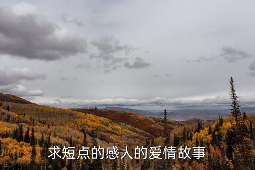 求短點的感人的愛情故事