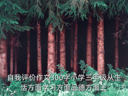 自我評價作文300字小學三年級從生活方面學習方面品德方面三