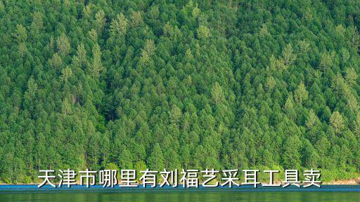 天津市哪里有劉福藝采耳工具賣