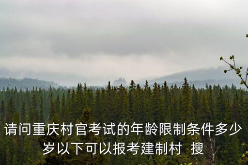 重慶市鄉鎮中層提副職年齡限制，重慶公務員考試 年齡及學歷