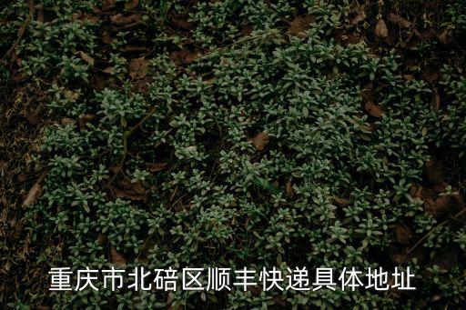 重慶市北碚區順豐快遞具體地址