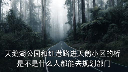 天鵝湖公園和紅港路進天鵝小區(qū)的橋 是不是什么人都能去規(guī)劃部門