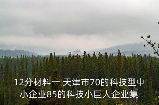 12分材料一 天津市70的科技型中小企業85的科技小巨人企業集