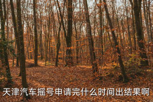 天津汽車搖號申請完什么時間出結(jié)果啊