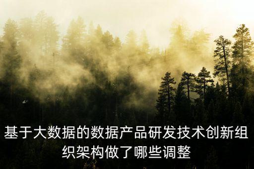 上海大數(shù)據(jù)中心組織架構，基于大數(shù)據(jù)的數(shù)據(jù)產(chǎn)品研發(fā)技術創(chuàng)新組織架構做了哪些調(diào)整