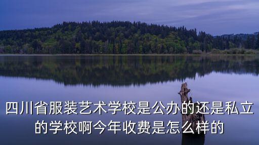 四川省服裝藝術(shù)學(xué)校是公辦的還是私立的學(xué)校啊今年收費(fèi)是怎么樣的