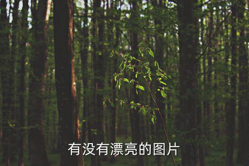 有沒有漂亮的圖片