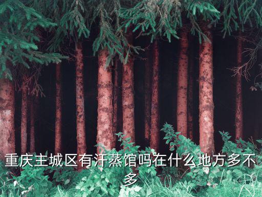 重慶主城區有汗蒸館嗎在什么地方多不多