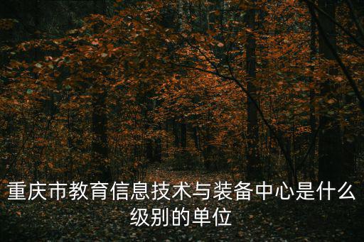 重慶市教育信息技術與裝備中心是什么級別的單位