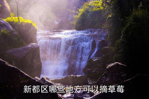 新都區(qū)哪些地方可以摘草莓