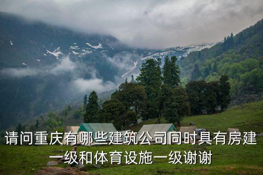 請問重慶有哪些建筑公司同時具有房建一級和體育設施一級謝謝