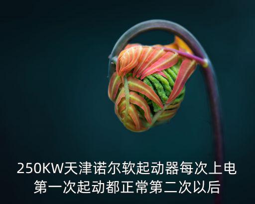 250KW天津諾爾軟起動(dòng)器每次上電第一次起動(dòng)都正常第二次以后