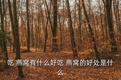 吃 燕窩有什么好吃 燕窩的好處是什么