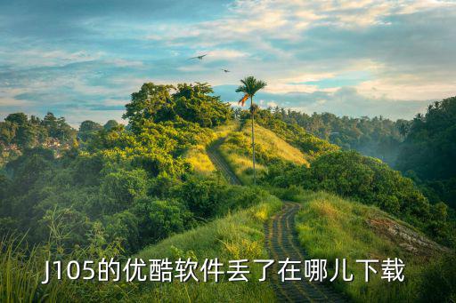 J105的優(yōu)酷軟件丟了在哪兒下載