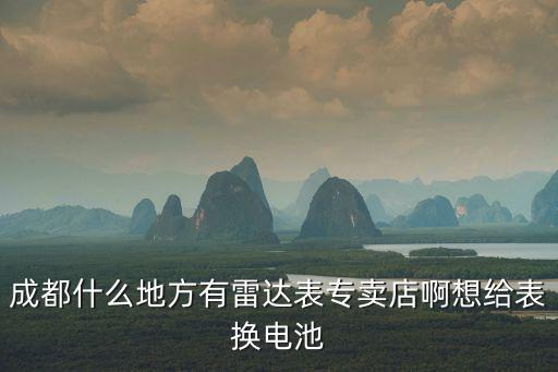 成都什么地方有雷達表專賣店啊想給表換電池