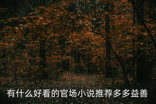 有什么好看的官場小說推薦多多益善