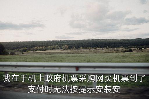 天津市政府采購機票，我在手機上政府機票采購網買機票到了支付時無法按提示安裝安