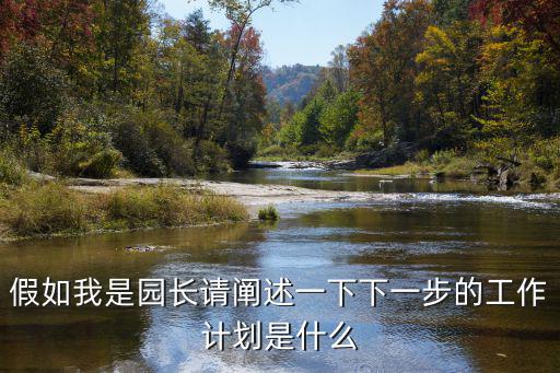 假如我是園長請闡述一下下一步的工作計劃是什么