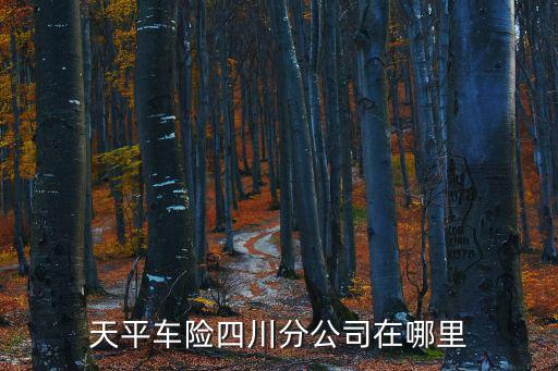 天平車險(xiǎn)四川分公司在哪里