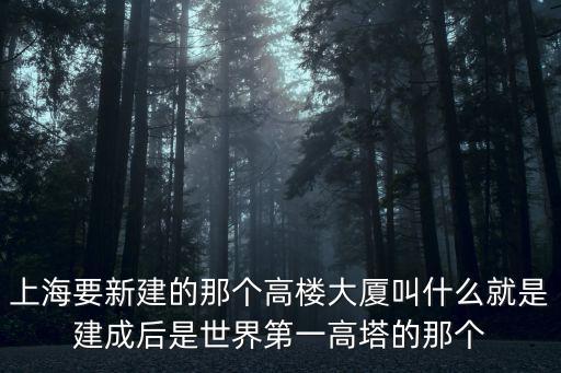 上海要新建的那個高樓大廈叫什么就是建成后是世界第一高塔的那個