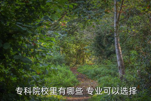  專科院校里有哪些 專業可以選擇