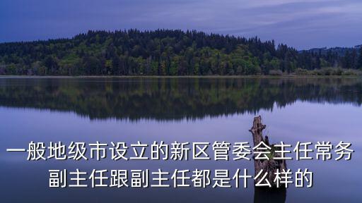 一般地級市設(shè)立的新區(qū)管委會主任常務(wù)副主任跟副主任都是什么樣的