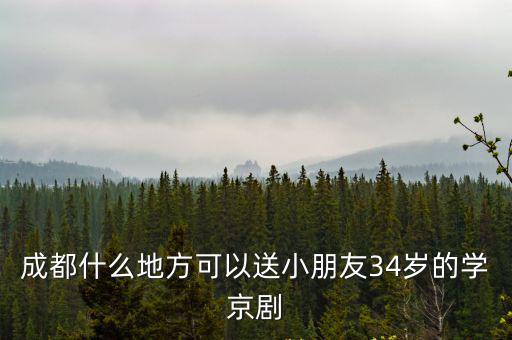 成都市文化藝術(shù)學(xué)校 學(xué)京劇的嗎，成都什么地方可以送小朋友34歲的學(xué)京劇