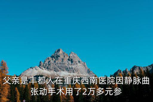 父親是豐都人在重慶西南醫院因靜脈曲張動手術用了2萬多元參