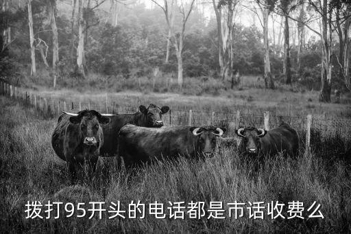 撥打95開頭的電話都是市話收費么
