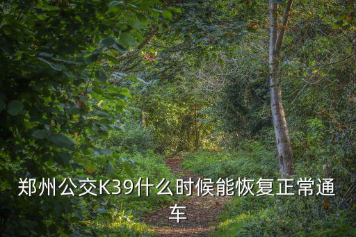 鄭州什么時候能恢復正常2022，鄭州公交204何時恢復原運行線路